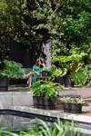 greenville terrase 60cm roues living noir